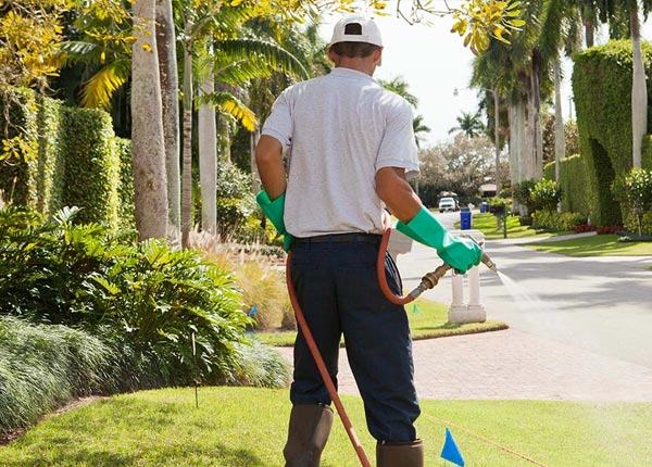 About Jeffers MN Pest Control